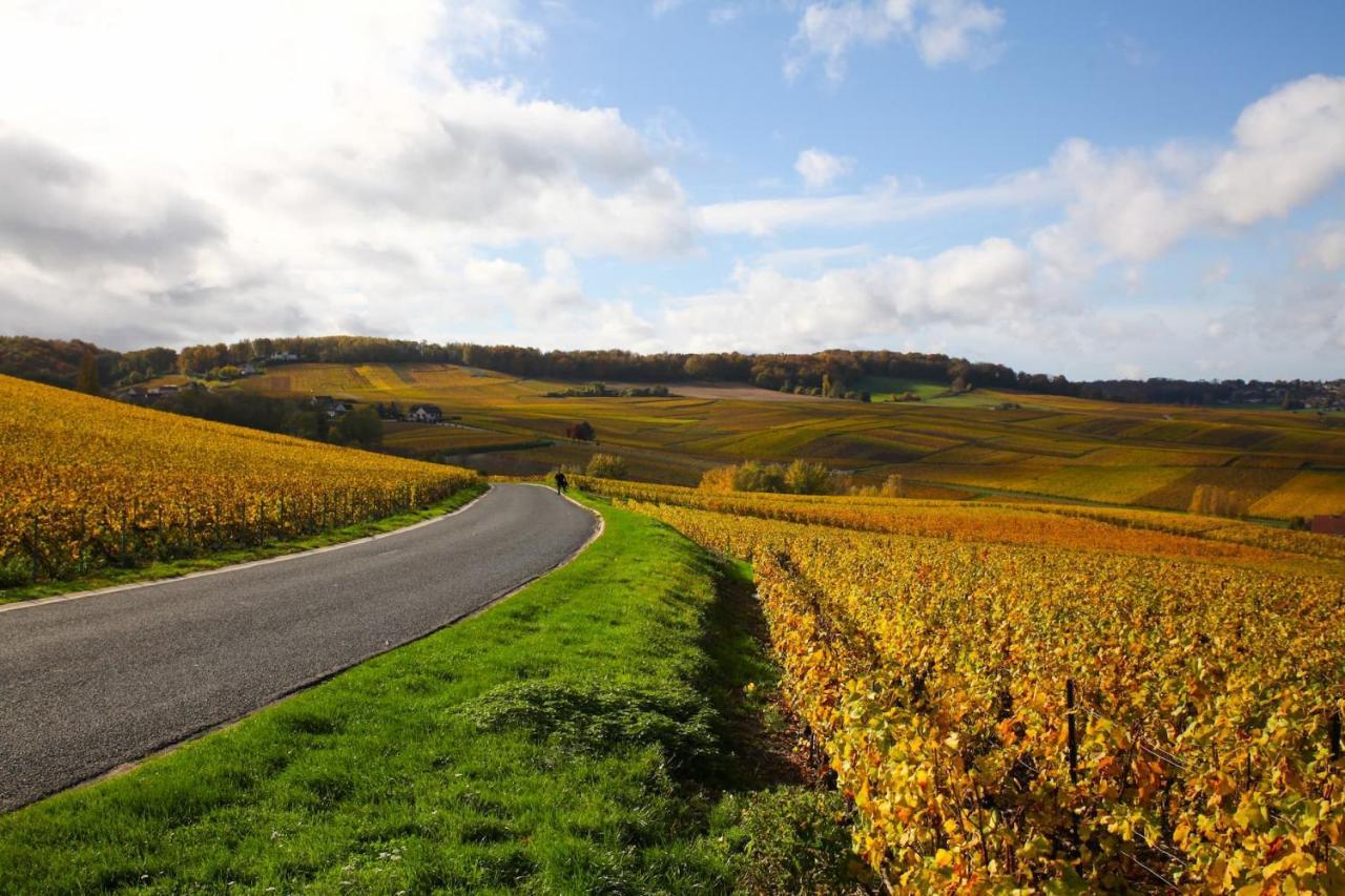 布里克特瑞酒店 维奈 外观 照片 Vineyards in the Moselle valley